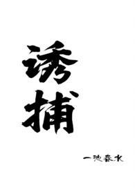 诱捕txt全文阅读