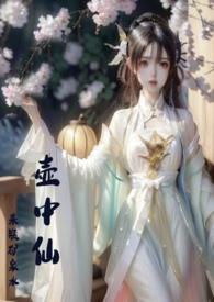 壶中仙来瓶矿泉水