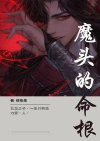 中被称为的魔头的主角