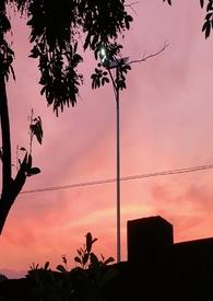 乖宠免费全文阅读19