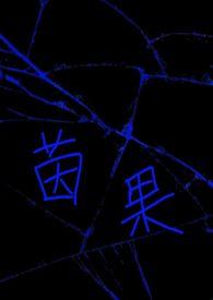茵宝百科