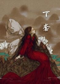 下套完结