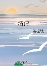 清清明明的意思