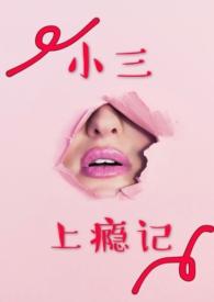 小三上瘾记全文阅读_