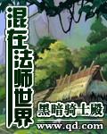 混在法师世界zip