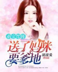 萌宝驾到拐个爹地送妈咪