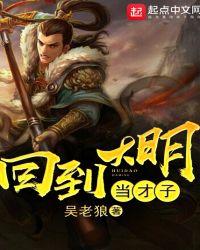回到大明当才子好看吗
