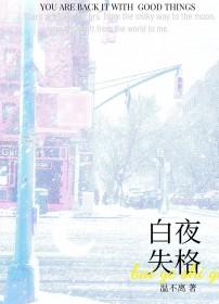 白夜失格by温不离讲的什么