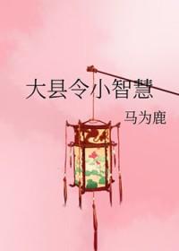 大县令小仵作好看