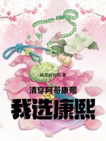 清穿康熙和阿哥都喜欢女主