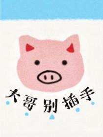 大哥别插手by陨石软糖讲了什么