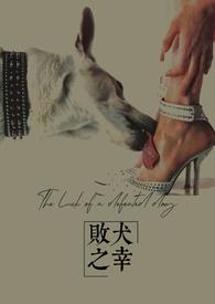 败犬id