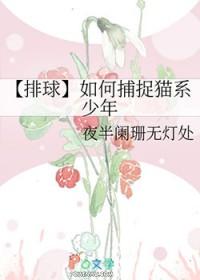 排球少年猫队是哪队