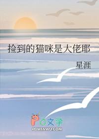 捡到一只大猫怎么办