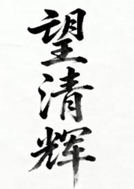 望清仅允txt微盘