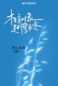 相亲对象是刑警队长全文阅读