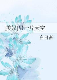 另一片天空下