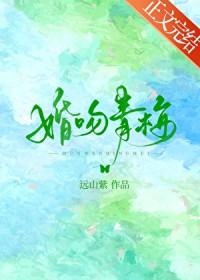 婚吻青梅明枝笔趣阁