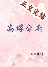 高嫁公府笔趣阁无删减