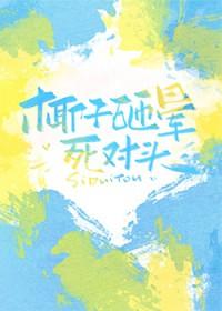 椰子不会砸到人