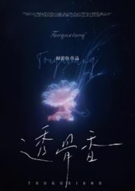 透骨香txt全文免费阅读