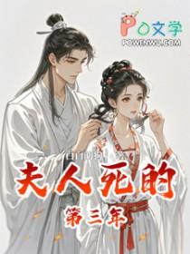 夫人死的第三年全文阅读