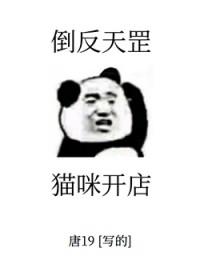 宠物店开毛结怎么收费