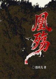 凰殇闲话