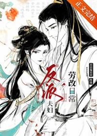 反派夫妻的