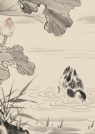 全京城都等我出新色号免费阅读