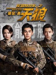 反恐特战队之天狼 电视剧剧情介绍