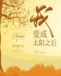 我变成太阳之后无弹窗阅读
