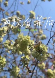 两校合并有什么好处