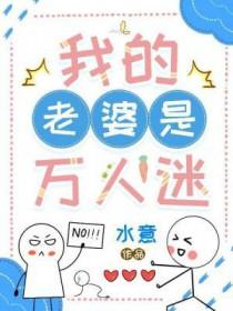 我的老婆是万人迷叶安