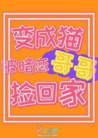 毛茸茸的户