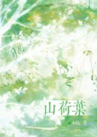 山荷叶合剂说明书图片
