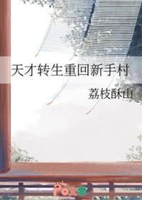 天才转生重回新手村作者荔枝酥山