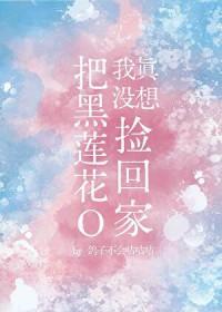 我真没想把黑莲花O捡回家鸽子不会咕咕咕