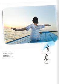 青鸟主要讲了什么