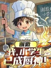 已成厨神!TXT