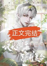 联邦议员和州议员