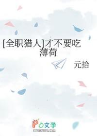 全职猎人 梗