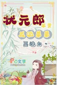 状元郎的小夫郎