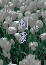 刺萝结因po笔趣