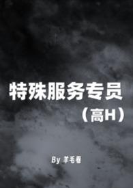 特殊服务工作