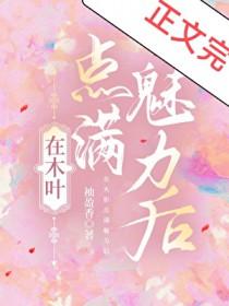 在木叶开