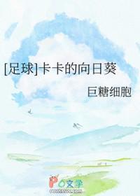 卡卡为主角的足球