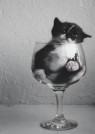 哒哒的拼音