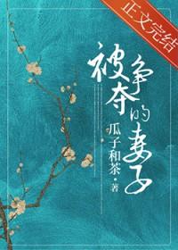 被争夺的妻子在线观看