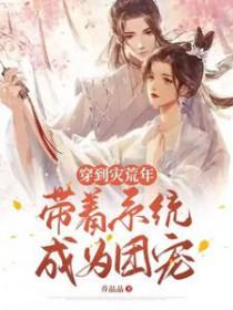 穿越灾荒年代文